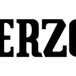 Herzog Technologies